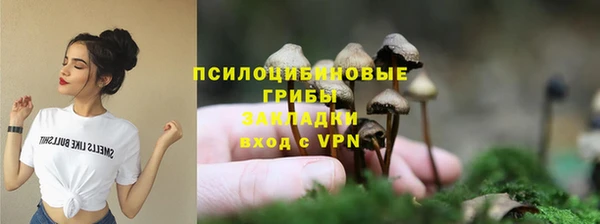 эйфоретик Горнозаводск