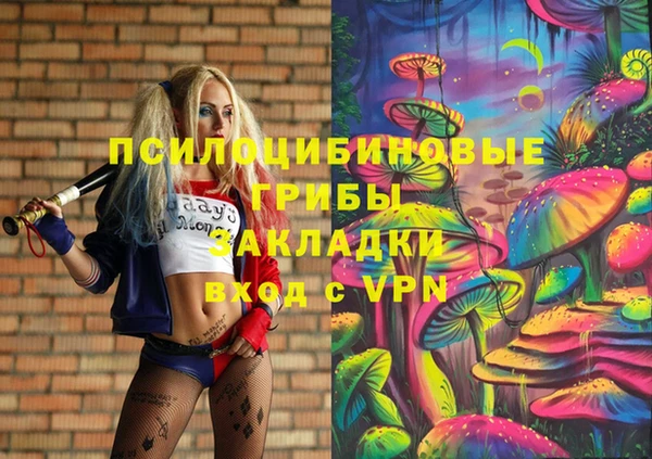 эйфоретик Горнозаводск