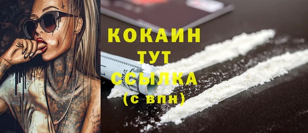 первитин Гусев