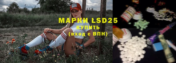 первитин Гусев